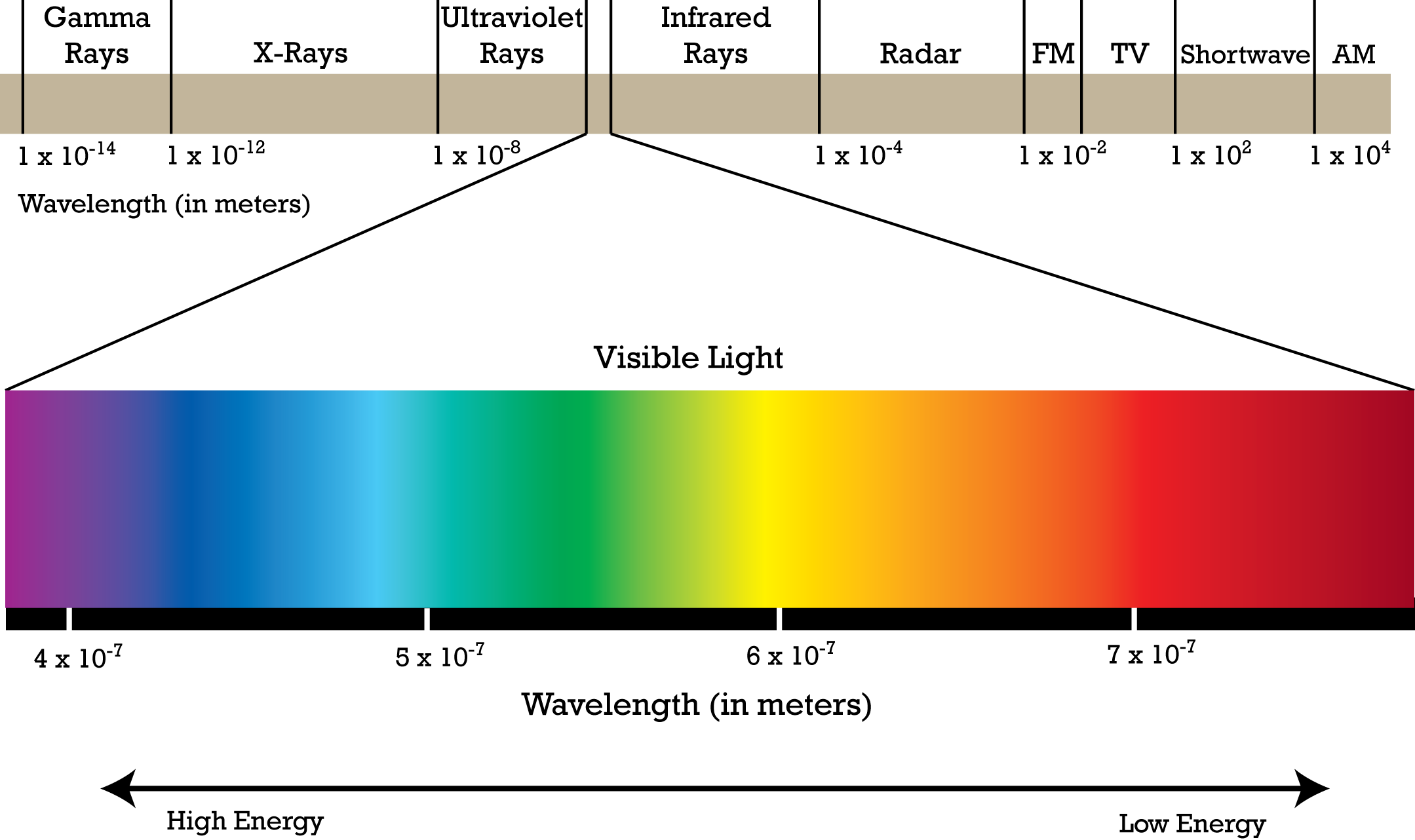 which-electromagnetic-wave-has-the-longest-wavelength-brainly-ph